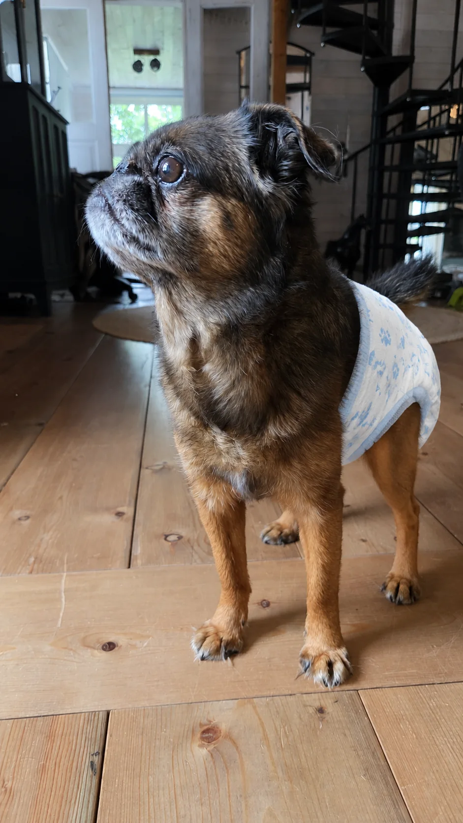 Raffe står stolt och visar sin praktiska outfit